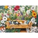 Katzen im blühenden Garten – 500 Teile Creative Puzzle – Trefl Bild 2