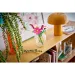 LEGO® Botanicals: Schmetterlingsblumen (11514) Bild 9