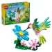 LEGO® Creator: Wildtiere: Bunter Kolibri (31384) Bild 1