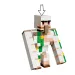 LEGO® Minecraft: Hühnerzucht, Angriff in der Wüste (21592) Bild 5