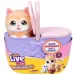 Little Live Pets: Katze im Korb mit ihren Kätzchen Bild 1