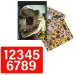 Luna: Jurassic World Malset mit Schablone und Aufkleber 54x47cm Bild 3
