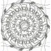 Mandala und Malbücher - Wildtiere Bild 3