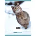 Nebulo: Gestreifter Katzenmuster Heft 87-32 A/4