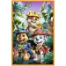 Paw Patrol Dinosaurierinsel - 3 x 80 Teile Puzzle - Trefl Bild 3