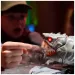 Primal Hatch Interaktives Megalodon-Ei - Spin Master Bild 5