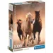 Rasende Pferde HQC 1000-teiliges Puzzle mit Poster - Clementoni