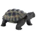 Schildkröten-Spielfigur