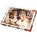 Schlafende Kätzchen 500 Teile Premium-Puzzle - Trefl Bild 1