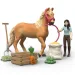 Schleich: Horse Club Emilys Pflege-Set (42797) Bild 2
