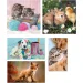 Tierfreunde 10in1 Super Color Puzzle - Clementoni Bild 3