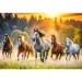Wilde Pferde 1500-teiliges Puzzle - Trefl Bild 2