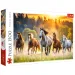Wilde Pferde 1500-teiliges Puzzle - Trefl Bild 1